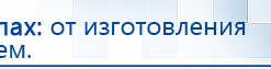 Электроды Скэнар -  двойной овал 55х90 мм купить в Новокубанске, Электроды Скэнар купить в Новокубанске, Скэнар официальный сайт - denasvertebra.ru